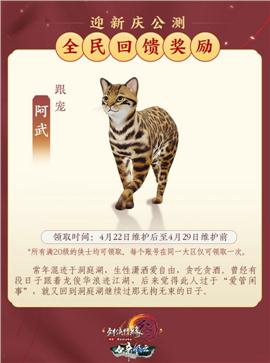 色情天龙八部私服